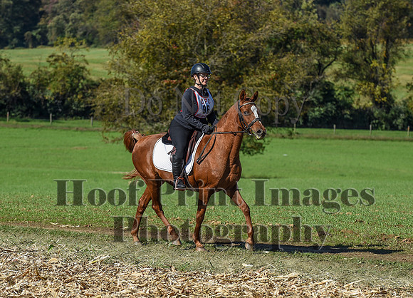 CheshirePC(10-18-20)0472