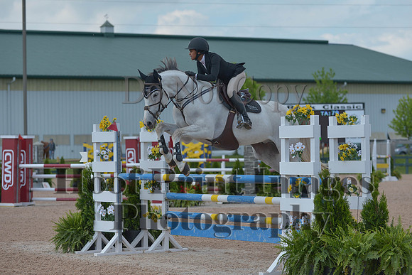 BRSa(5-17-14)HChAdJ0132