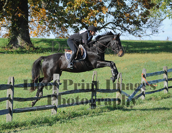 Cheshire(10-20-13)0633