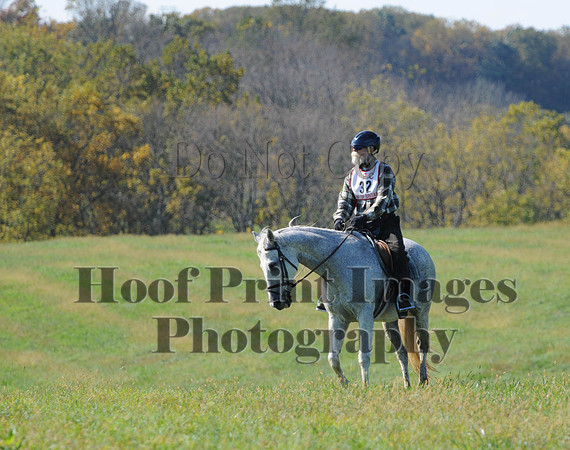 Cheshire(10-20-13)0356
