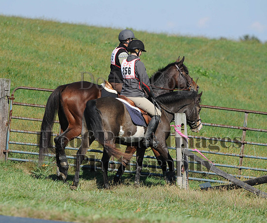 Cheshire(10-20-13)0124