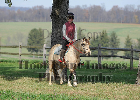 AndrewsBr(11-9-14)0061