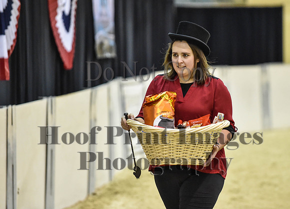 MidAtEqFest(11-14-15)1342