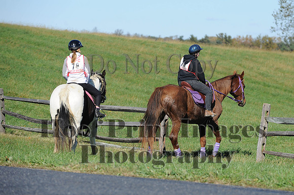 Cheshire(10-19-14)0277