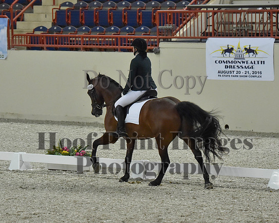 CWdressageII(8-21-16)1298