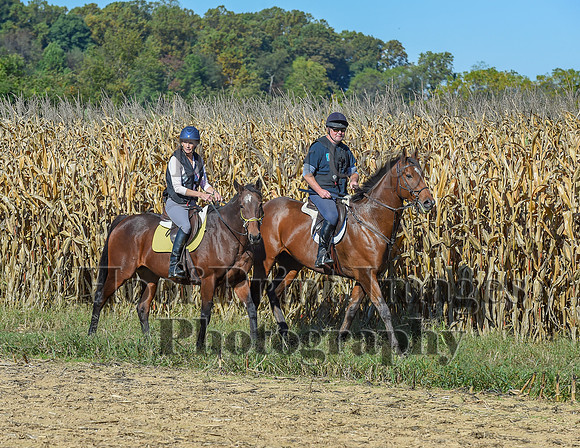 CheshirePonyClubPC(10-6-24)0124