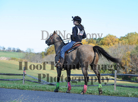Cheshire(10-19-14)0050