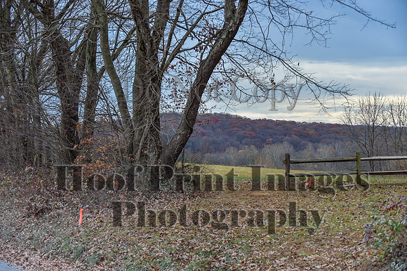 AndrewsBrHuntPace(11-10-24)0275