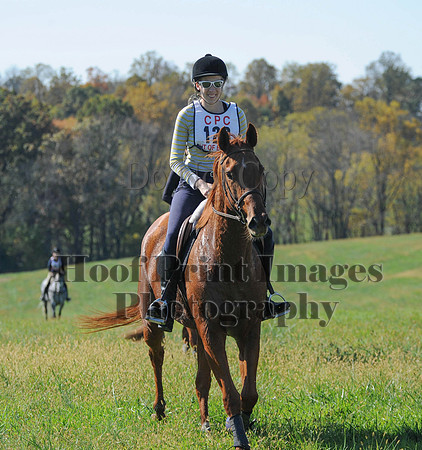 Cheshire(10-20-13)0244