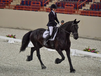 CWdressageI(8-20-16)0047