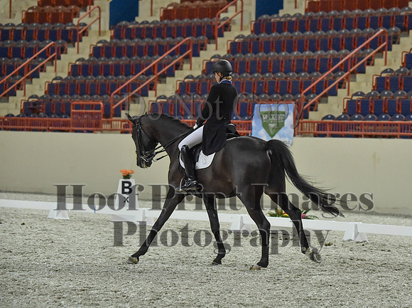 CWdressageI(8-20-16)1471