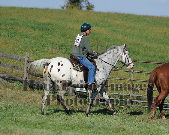 Cheshire(10-20-13)0547