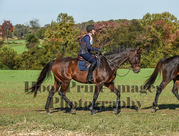 CheshirePC(10-18-20)0243