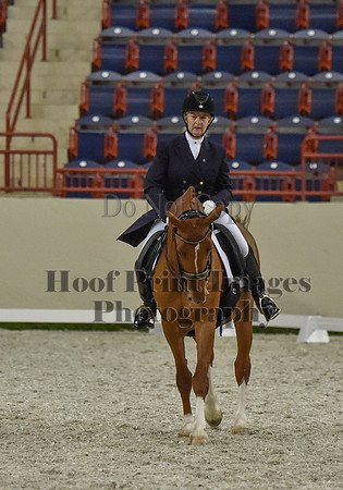 CWdressageI(8-20-16)1338