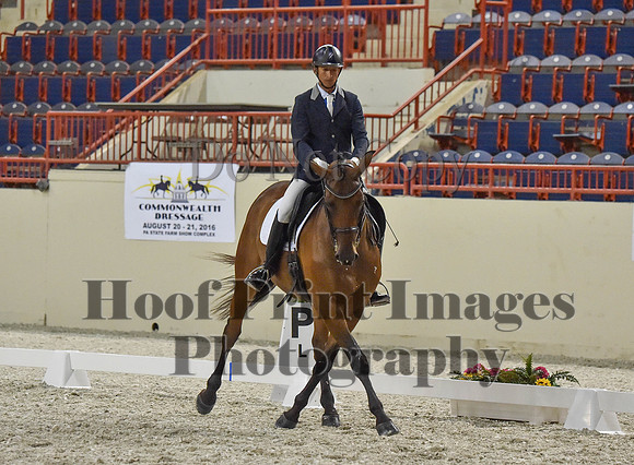 CWdressageI(8-20-16)1363