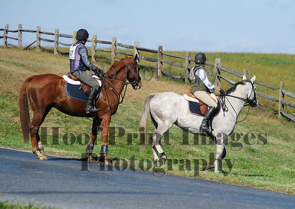 Cheshire(10-20-13)0299