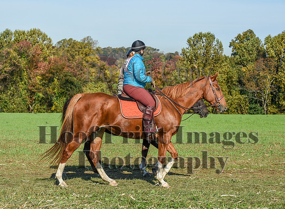 CheshirePC(10-18-20)0207