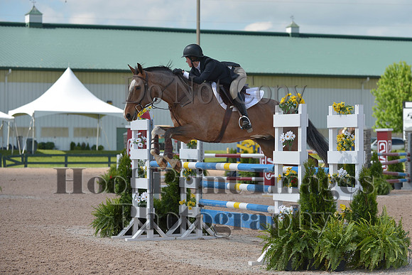 BRSa(5-17-14)HChAdJ0114