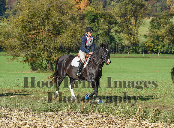 CheshirePC(10-18-20)0059