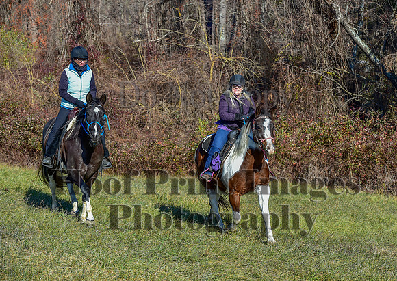 FairHillFallPC(11-30-24)0444