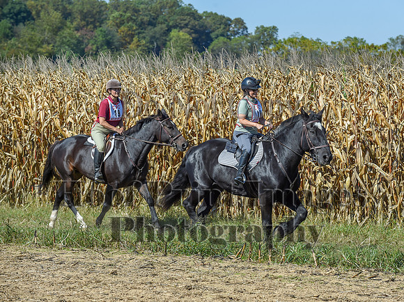 CheshirePonyClubPC(10-6-24)0381