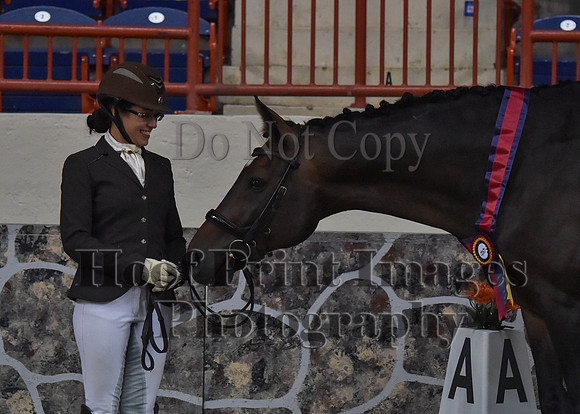 CWdressageII(8-21-16)1427