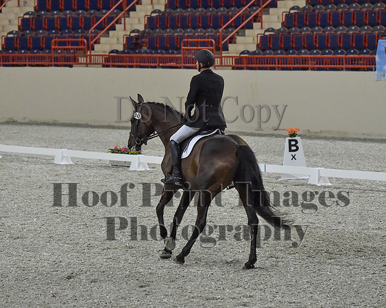 CWdressageII(8-21-16)0358