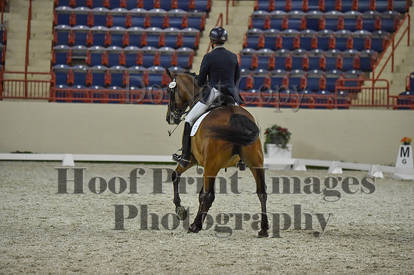 CWdressageI(8-20-16)1370