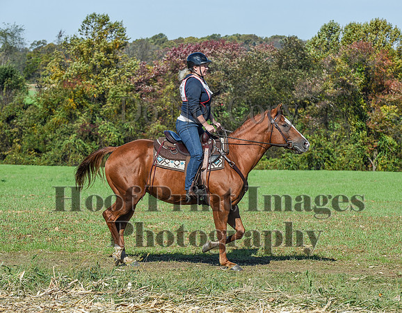 CheshirePC(10-18-20)0532