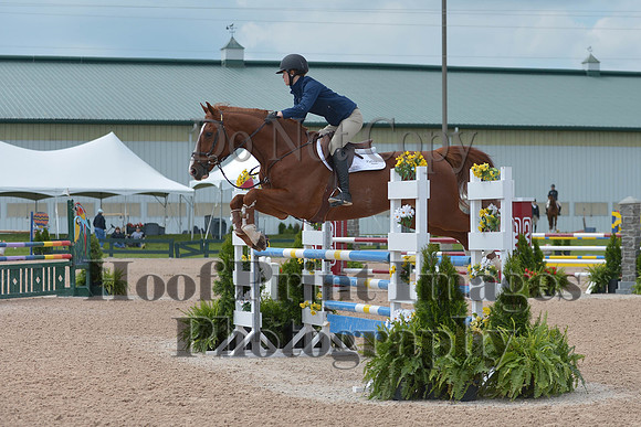BRSa(5-17-14)HChAdJ0207