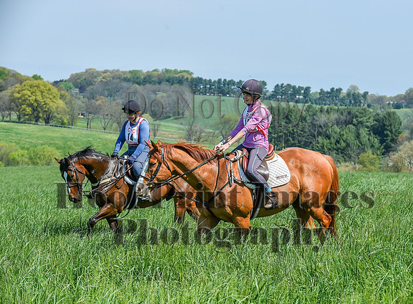 CheshireSpringPC1(4-28-24)0040