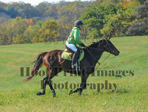 Cheshire(10-20-13)0689