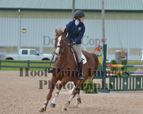 BRSa(5-17-14)HChAdJ0215