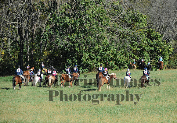 Cheshire(10-19-14)0451