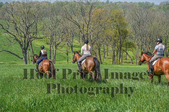 CheshireSpringPC1(4-28-24)0314