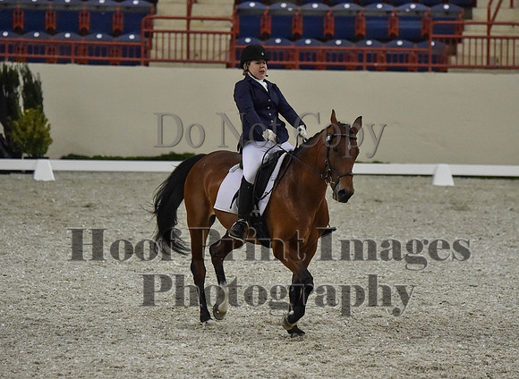 CWdressageI(8-20-16)0381