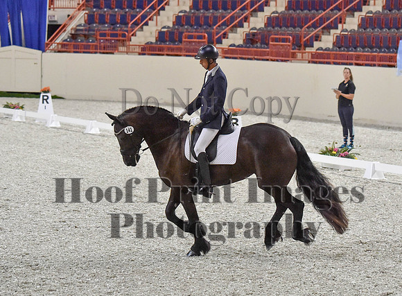 CWdressageI(8-20-16)0297