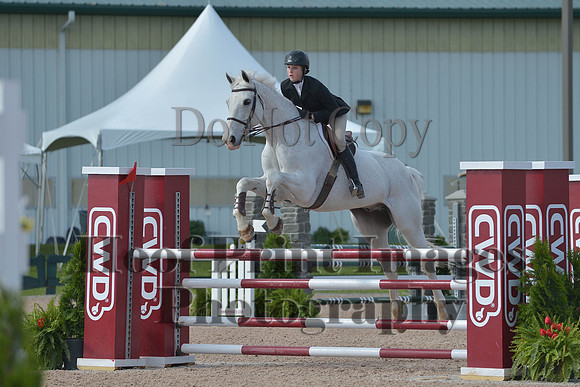 BRSa(5-17-14)HChAdJ0038