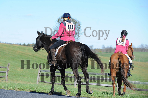 Cheshire(10-19-14)0142