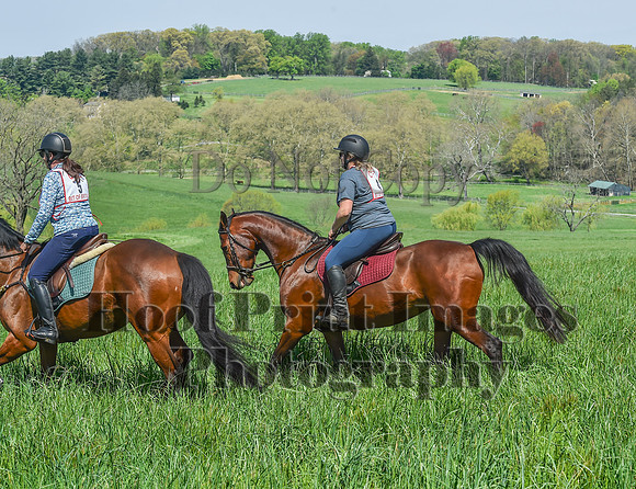 CheshireSpringPC1(4-28-24)0064