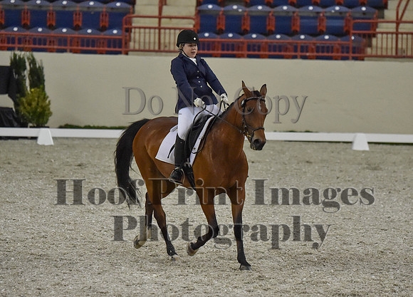 CWdressageI(8-20-16)0380