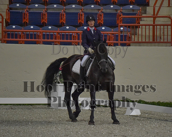 CWdressageII(8-21-16)0047