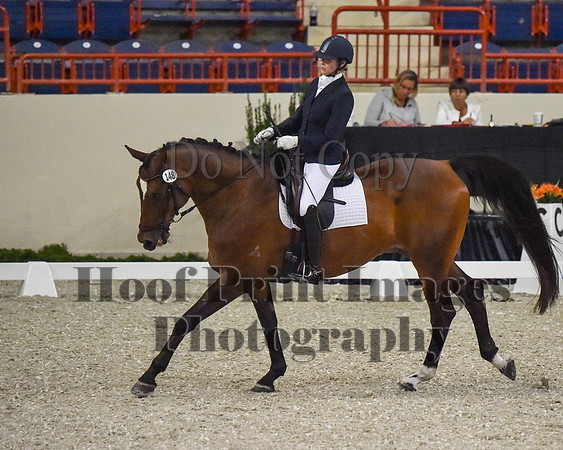 CWdressageII(8-21-16)0419