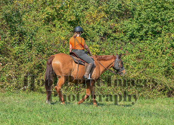Born2Ride(10-13-24)0371