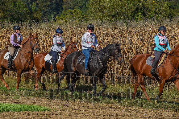 CheshirePonyClubPC(10-6-24)0081