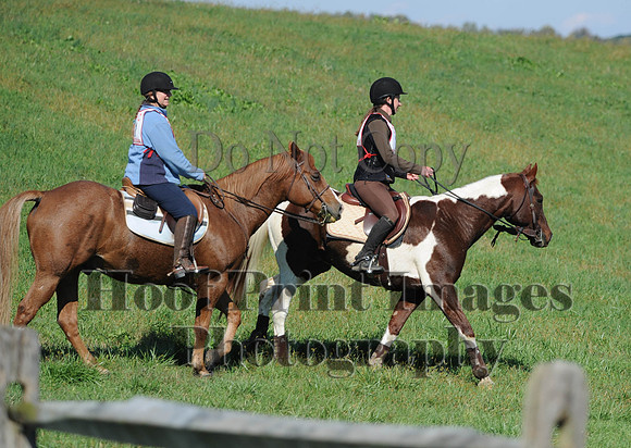 Cheshire(10-20-13)0208