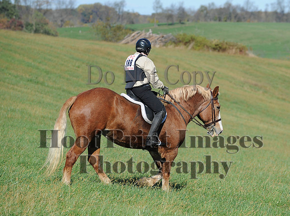 Cheshire(10-19-14)0384