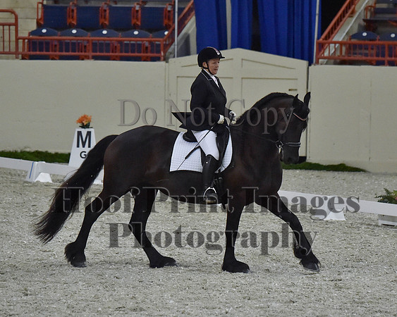 CWdressageII(8-21-16)2189