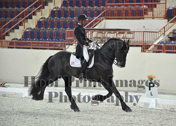 CWdressageI(8-20-16)1667