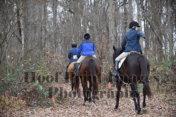 AndrewsBrHuntPace(11-10-24)0201